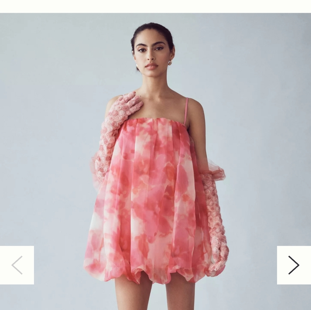 Sunday In Brooklyn Organza Bubble Dress